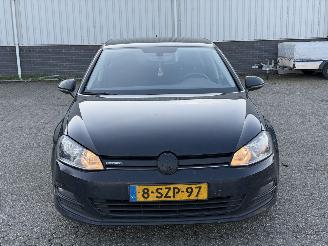 Volkswagen Golf 7 1.6TDI Highline BlueMotion picture 2