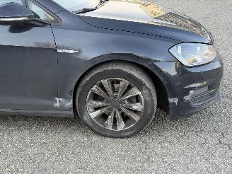 Volkswagen Golf 7 1.6TDI Highline BlueMotion picture 12