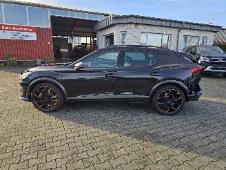 Cupra Formentor VZ 287 kW picture 15