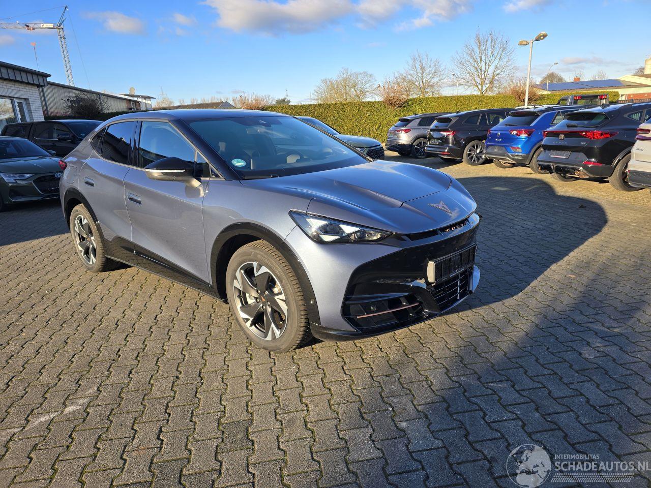 Cupra Tavascan Cupra Tavascan 210 kW Endurance