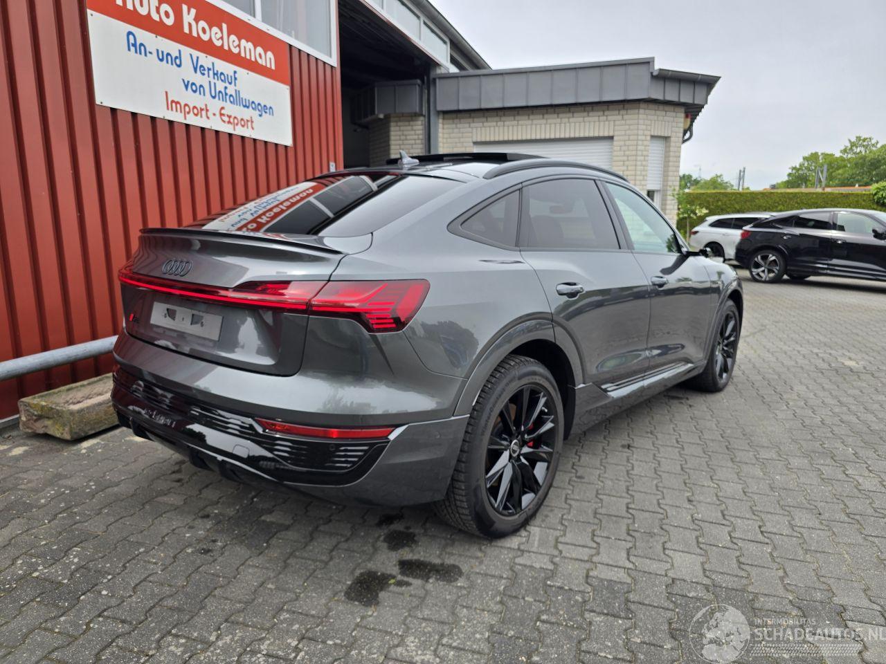 Audi Q8 E-TRON 114 kW aH