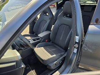 Cupra Formentor  picture 15