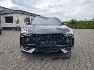 Cupra Formentor VZ 180 kW Hybride picture 20