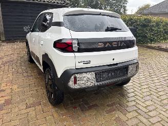 Dacia Spring extreme picture 4
