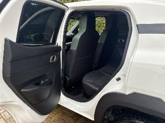 Dacia Spring extreme picture 18
