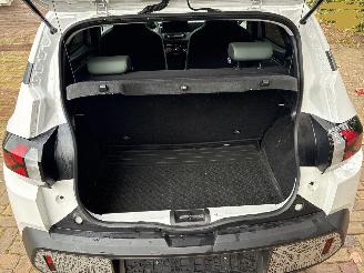 Dacia Spring extreme picture 19