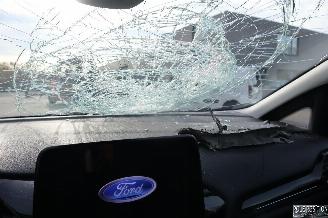 Ford Fiesta 1.0 BENZ picture 16