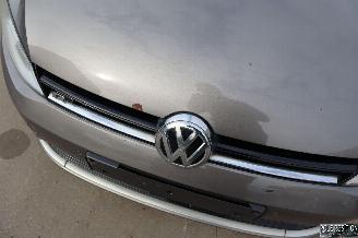 Volkswagen Golf 1.6 TDI picture 7