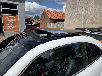 Volkswagen Beetle 2.0 TSI DSG EXCLUSIVE DUNE LICHTE PLAATSCHADE UNIEKE AUTO 107855 KM picture 12