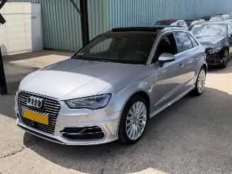 uszkodzony samochody osobowe Audi A3 SPORTBACK E-TRON S line Pano Leder Keyless B&O Led 2015/12