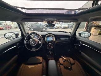 Mini Electric 33kwh Xenon Led Pano Harman Kardon FULL ! NAP picture 15