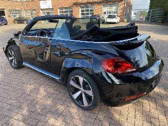 Volkswagen Beetle Cabriolet picture 10
