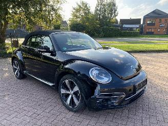 Avarii autoturisme Volkswagen Beetle Cabriolet 2018/8