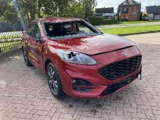 Ford Kuga 1.5 picture 8