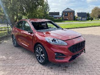 Ford Kuga 1.5 picture 7