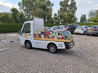 Alle  cenntro centro  electrice picture 1