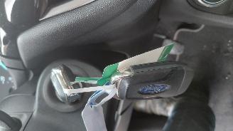 Ford Fiesta 1.0 hybrid titanium  92kw  navi picture 8