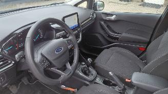 Ford Fiesta 1.0 hybrid titanium  92kw  navi picture 12