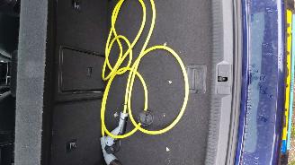 Volkswagen e-Golf 100kw clima  leer picture 13