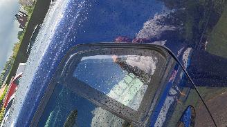 Volkswagen e-Golf 100kw clima  leer picture 4