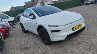 Unfallwagen Tesla Model Y 256pk  pano 2025/9