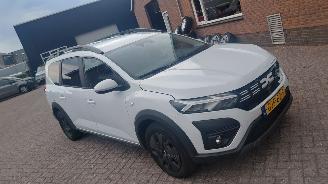 Vaurioauto  passenger cars Dacia Jogger 1.0 tce  110pk navi 7 zitter 2024/8