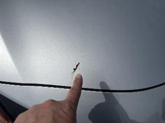 Toyota Aygo 1.0 VVT-iX-FUN LICHTE SCHADE! BOUWJAAR 2017 122000KM 4999 EURO picture 10