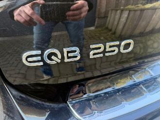 Mercedes EQB 250 AMG LINE 67 KWH  PANO VOL OPTIES picture 8