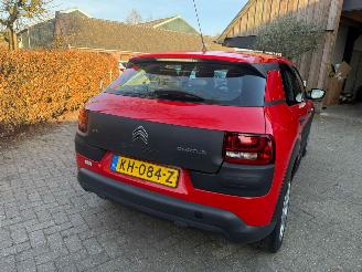 Citroën C4 cactus 1.2 AIRCO NAVI CRUISE NAP picture 6