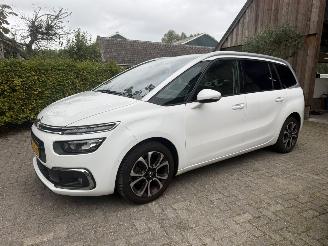 Schadeauto Citroën C4 SPACETOURER 7P NAVI CAMERA 2019/12