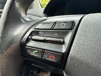 Hyundai Ioniq EV SOH 100% NAVI CAMERA picture 24