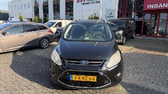 uszkodzony samochody osobowe Ford Grand C-Max 1.0 TITANIUM HAGELSCHADE 2013/6