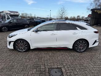 Kia Pro cee d 1.6 T-GDi  150 Kw GT-Line automaat picture 19