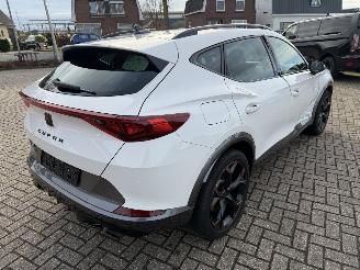 Cupra Formentor 2.0 -180 Kw Automaat VZ picture 13