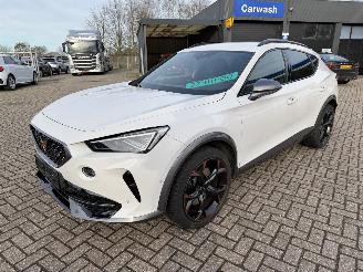 Avarii autoturisme Cupra Formentor 2.0 -180 Kw Automaat VZ 2024/8