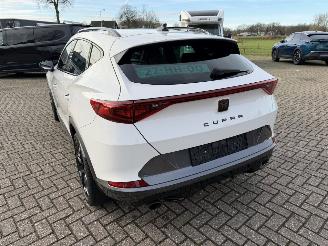 Cupra Formentor 2.0 -180 Kw Automaat VZ picture 17