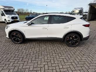 Cupra Formentor 2.0 -180 Kw Automaat VZ picture 21