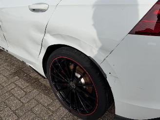 Volkswagen Golf 2.0 GTI -221 Kw DSG Clubsport picture 21