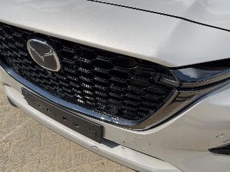 Mazda CX-60 2.5 PHEV  Homura AWD picture 37