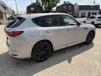 Mazda CX-60 2.5 PHEV  Homura AWD picture 11