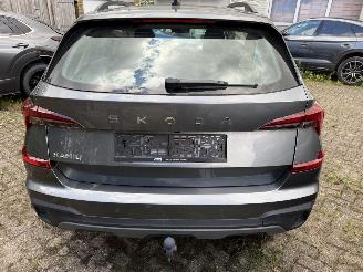 Skoda Kamiq Business picture 8