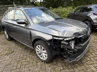 Skoda Kamiq Business picture 5