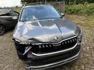 Skoda Kamiq Business picture 4