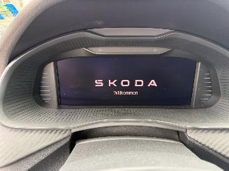 Skoda Kamiq 1.5 TSI 150Pk DSG  Monte Carlo picture 29
