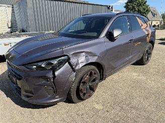 Cupra Terramar 1.5 eTSi 110 Kw Automaat picture 3