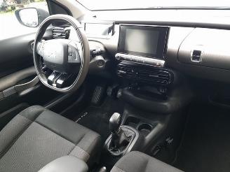 Citroën C4 cactus 1.2 PureTech Shine picture 19