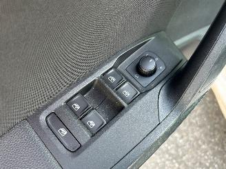 Seat Ibiza 1.0 TSI FR Business Intense D S G picture 24