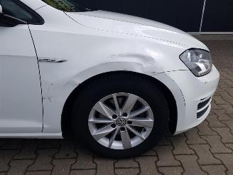 Volkswagen Golf 1.6 TDI Comfortline BlueMotion picture 25