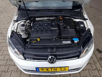Volkswagen Golf 1.6 TDI Comfortline BlueMotion picture 23