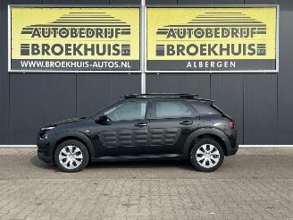 Citroën C4 cactus 1.6 e-HDi Feel AUTOMATIC picture 2